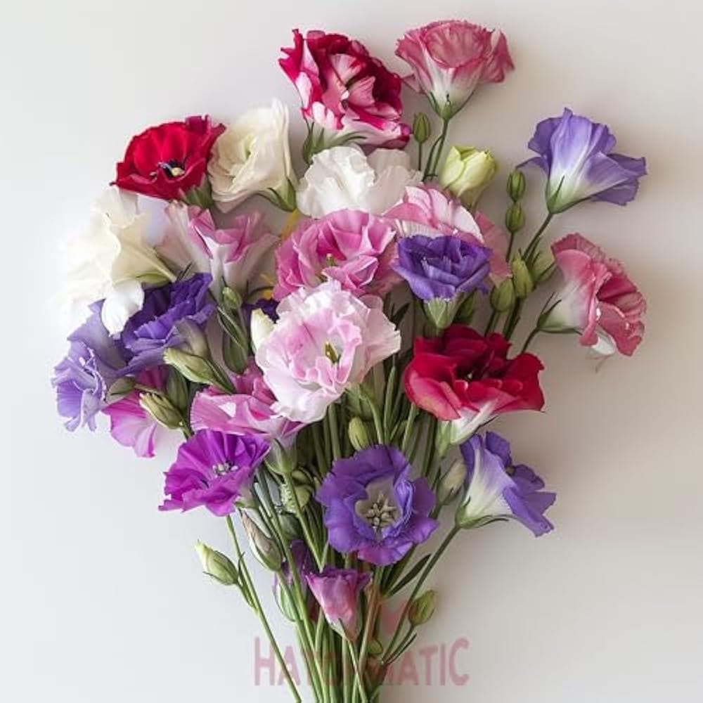 Lisianthus Sapphire Mix Flower Seeds (Eustoma Grandiflorum) 10+Seeds